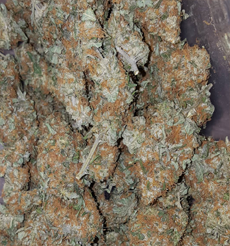 AMNESIA-HAZE.jpg.png