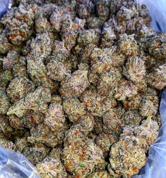 Chemdawg.jpg.png