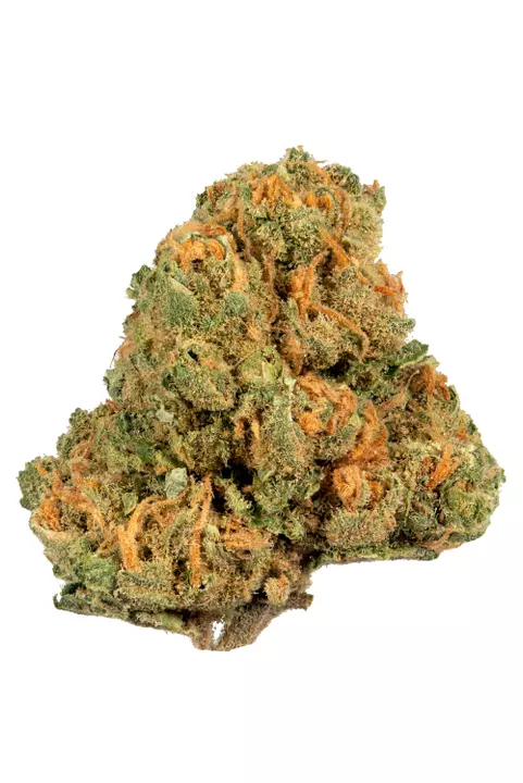 Jack-Herrer.webp