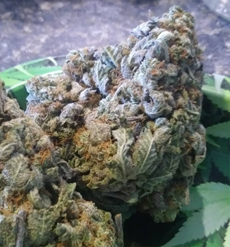 Lavender-Haze.jpg.png