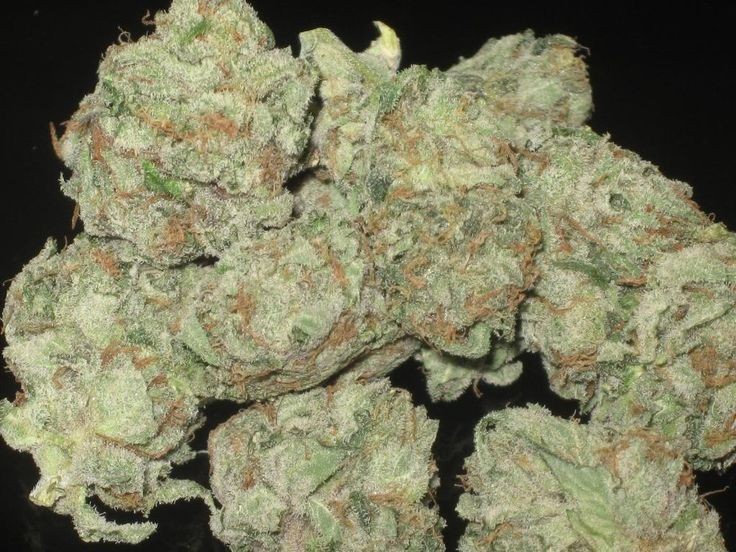 Moonwalker-Kush.jpg