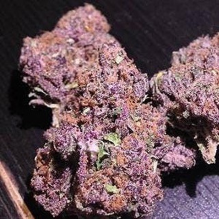 Purple.jpg