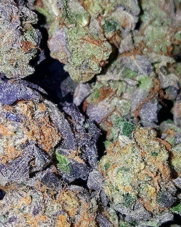 Super-Silver-Haze.jpg