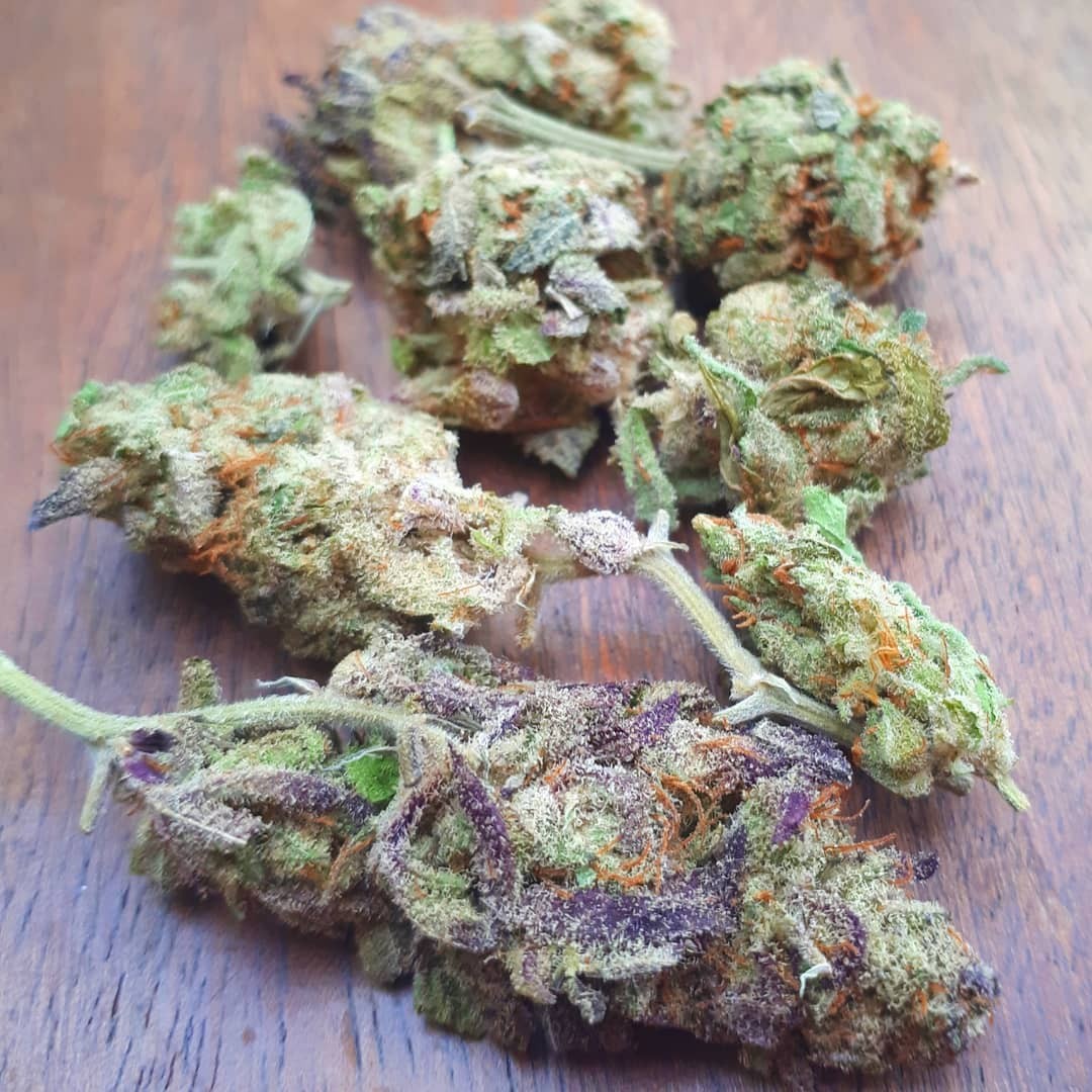 gsc.jpg