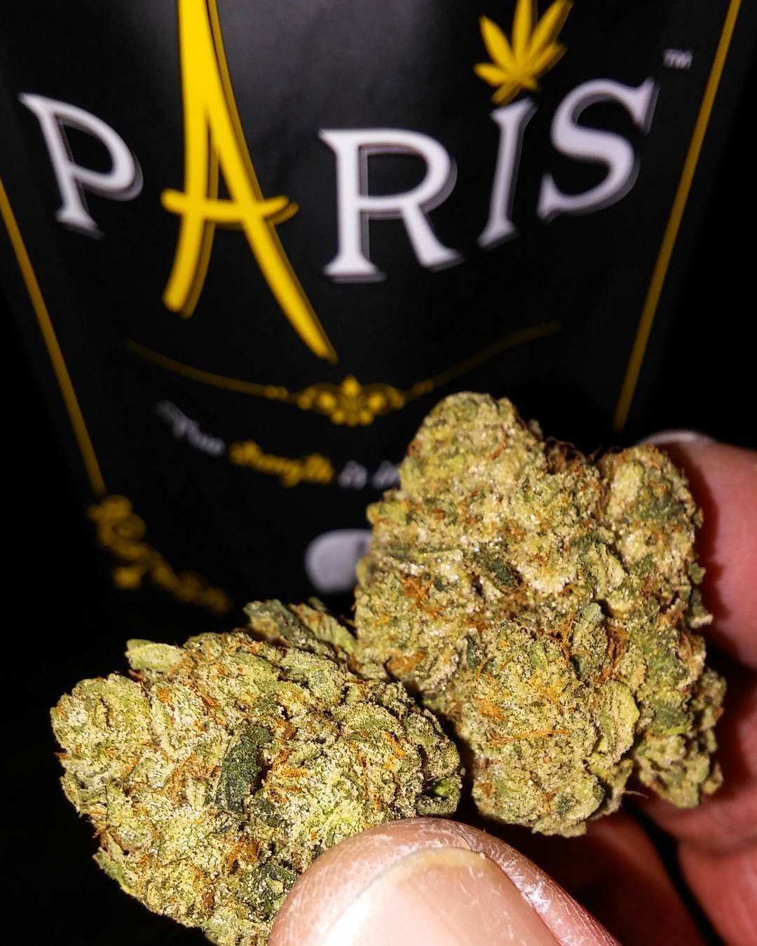 paris-OG.jpg