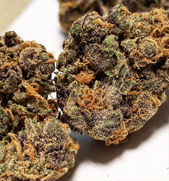 purple-diesel.jpg.png