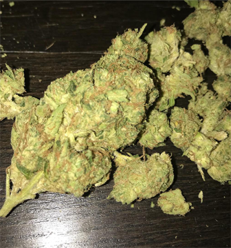 sour-diesel.png