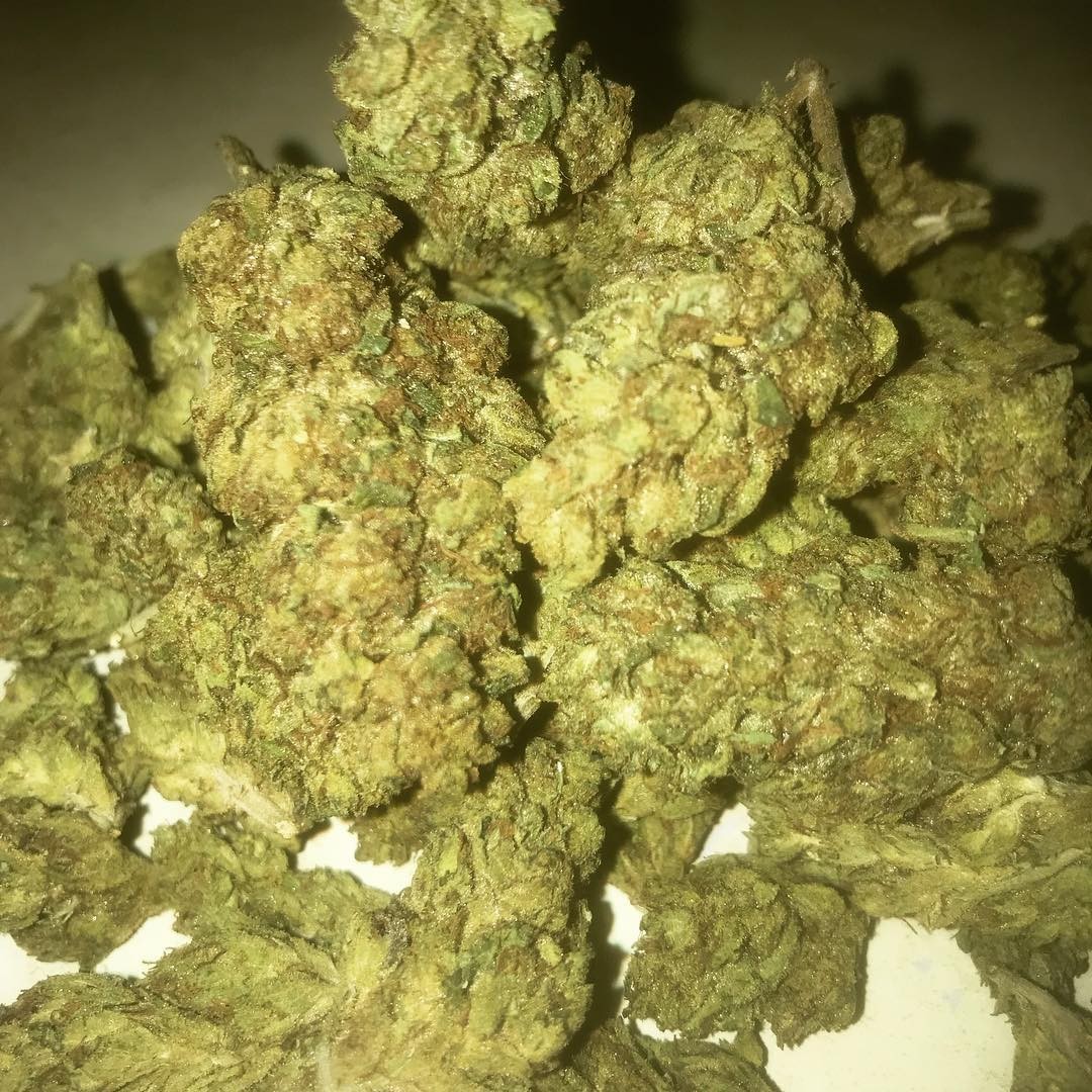 xxx-og-1.jpg